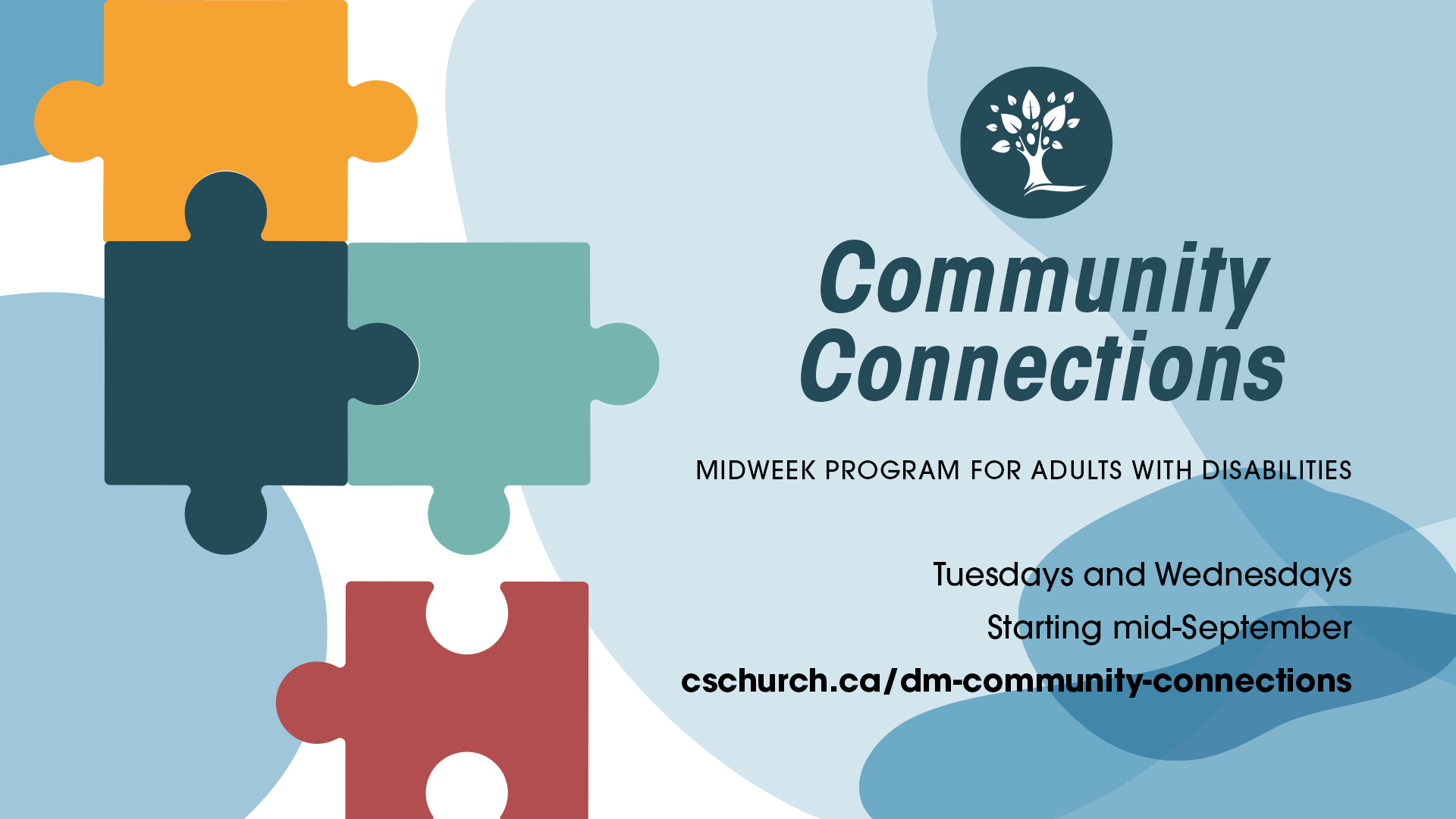 Image for DM: Community Connections