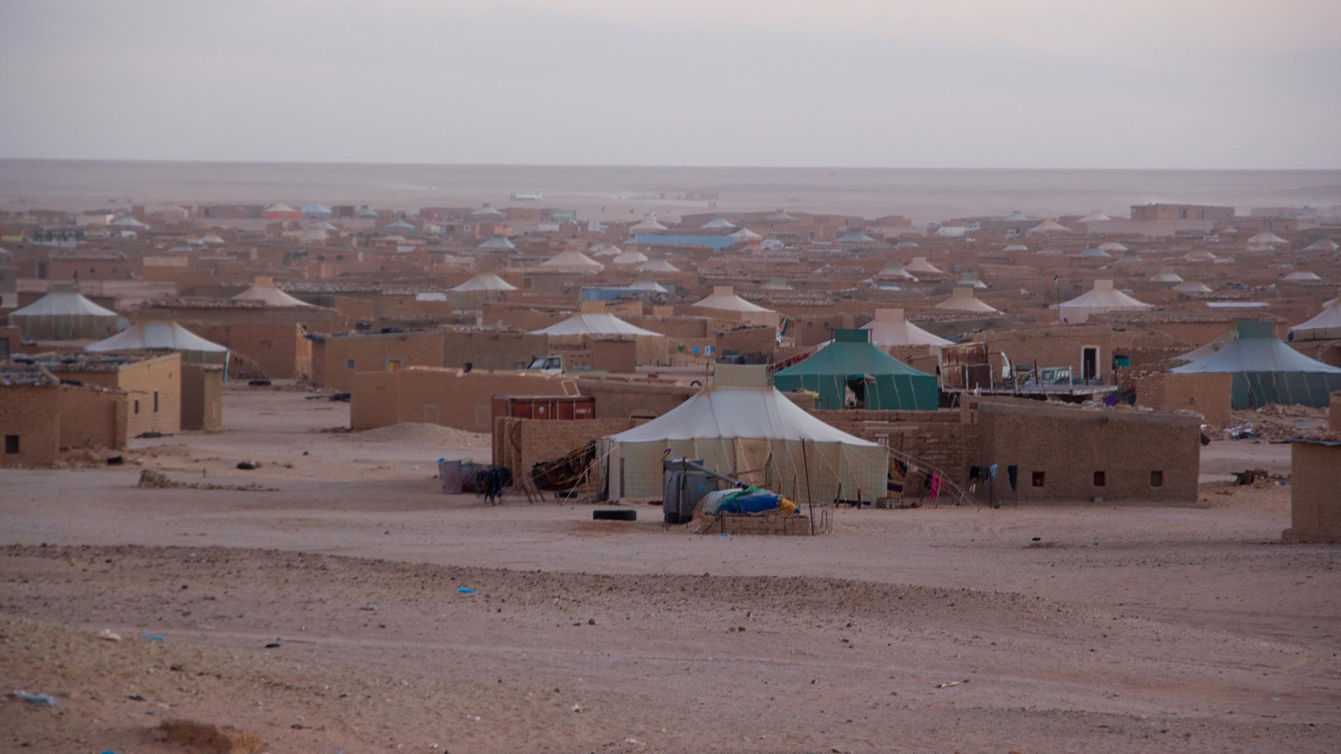 Image for North Africa Story