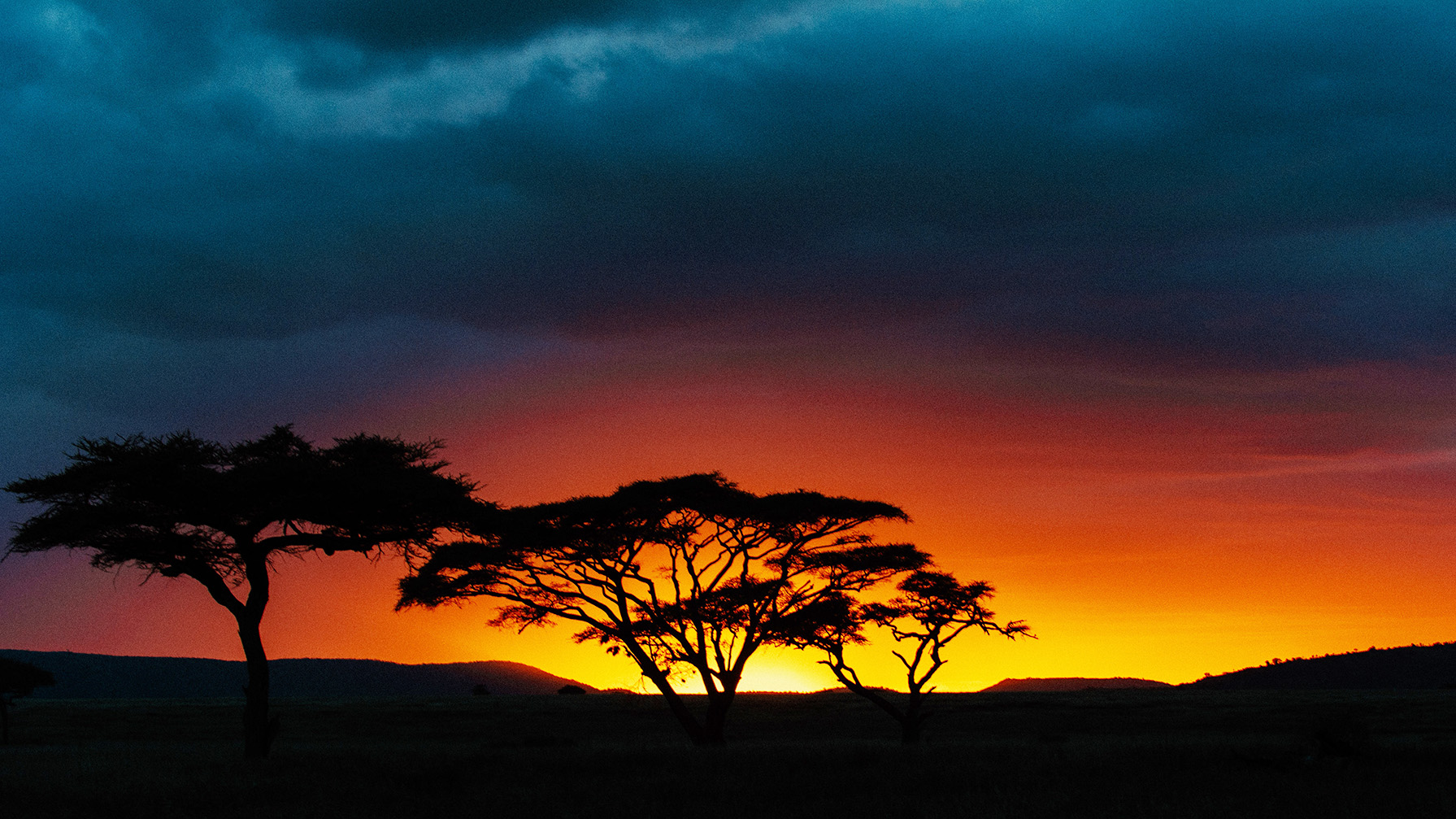 Image for Who are the 