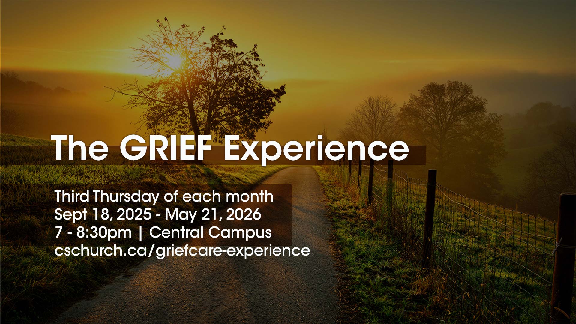Image for The Grief Experience