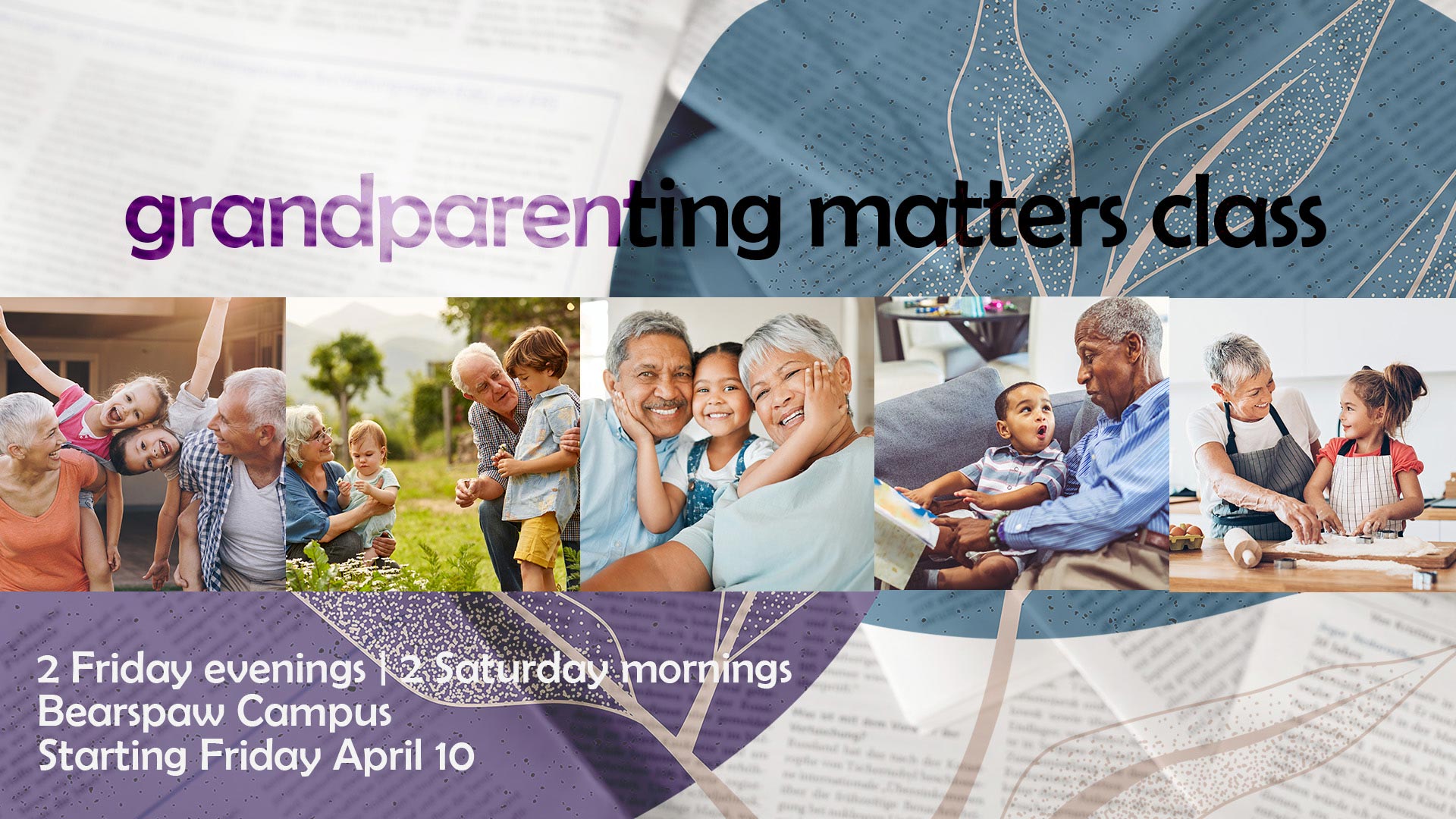 Image for Grandparenting Matters BPC