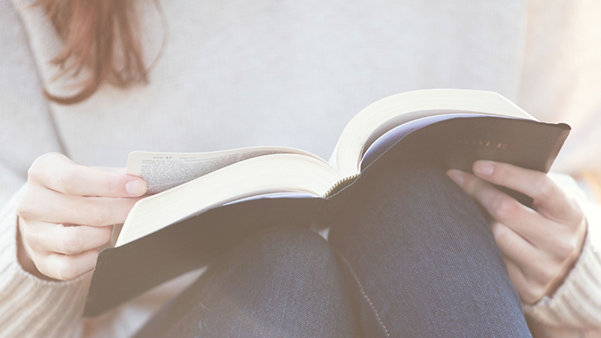 Image for Laura's Story