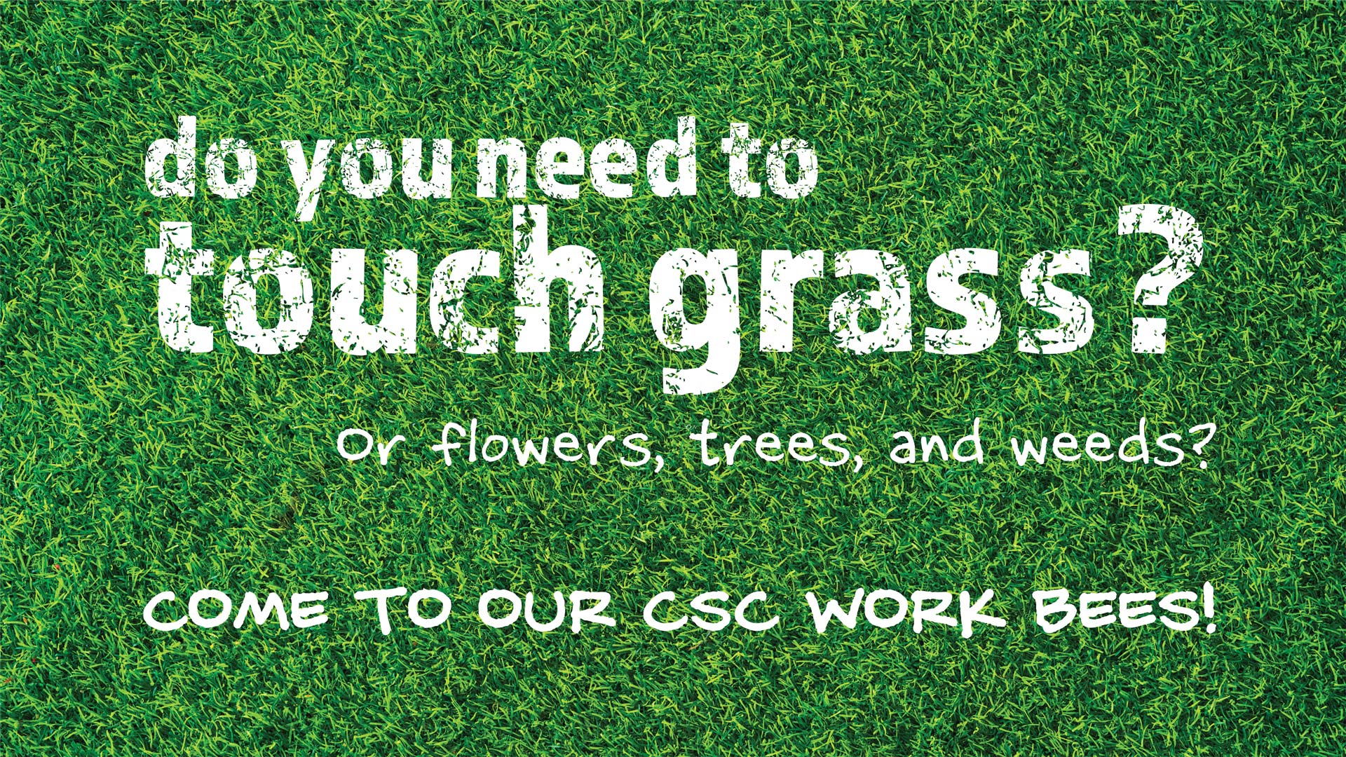 Image for CSC Work Bees